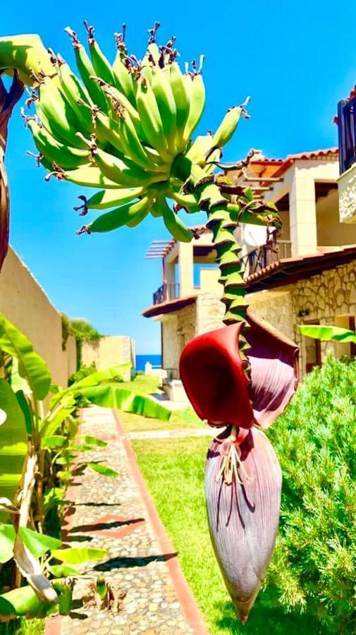 Villa Fourka On The Beach Exterior foto