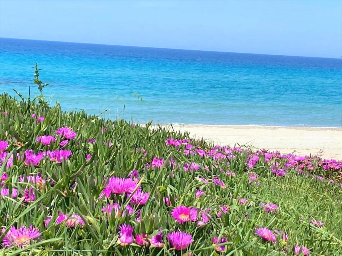 Villa Fourka On The Beach Exterior foto